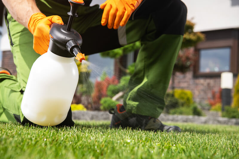 A person is spraying a lawn with a garden sprayer, illustrating the question "how much does lawn care cost?"