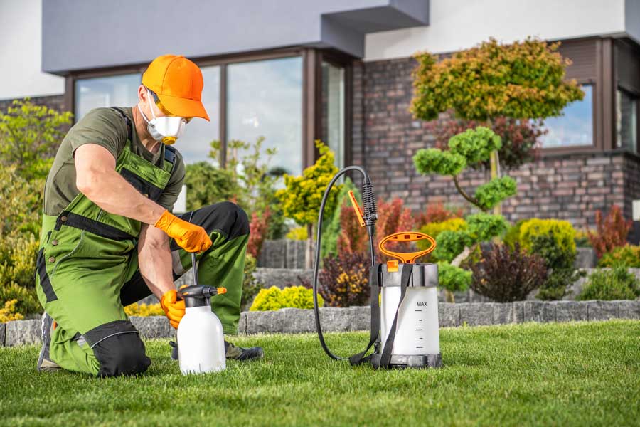 A professional landscaper in protective gear kneels on a healthy green lawn while preparing pesticide sprayers, surrounded by neatly trimmed shrubs and decorative plants—illustrating high-quality lawn maintenance services at a modern residential property.