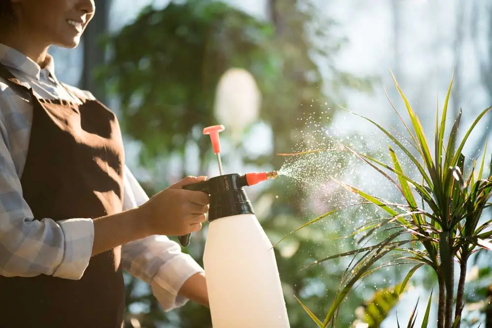 A person in a sunlit garden, gently misting a vibrant green plant with a pest control spray to protect it from unwelcome critters.