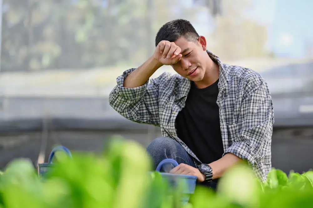 A troubled gardener sits among green plants, looking stressed about a grub problem, highlighting the need for reliable grub control services Maryland.