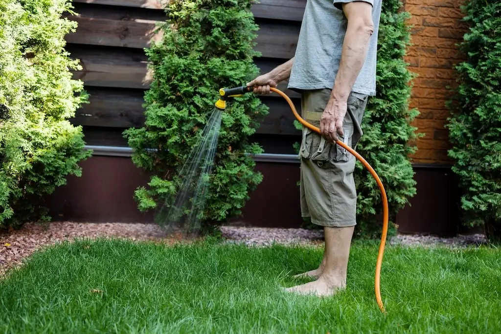 A person using a hose to water their lawn, showing the importance of smart watering in eco-friendly lawn care.