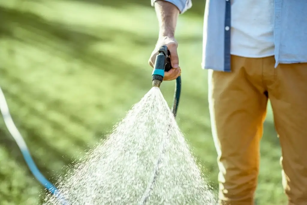 A person watering a lawn with a garden hose, emphasizing proper hydration before winter, a crucial step in how to take care of your lawn in the winter.