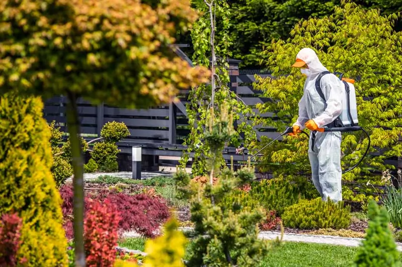 Professional in protective gear spraying chemicals in a landscaped garden for pest control Westminster MD.