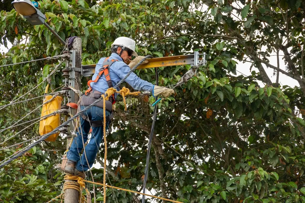 A utility worker wearing safety gear while working on electrical lines near trees, demonstrating the risks of tree trimming around power lines.