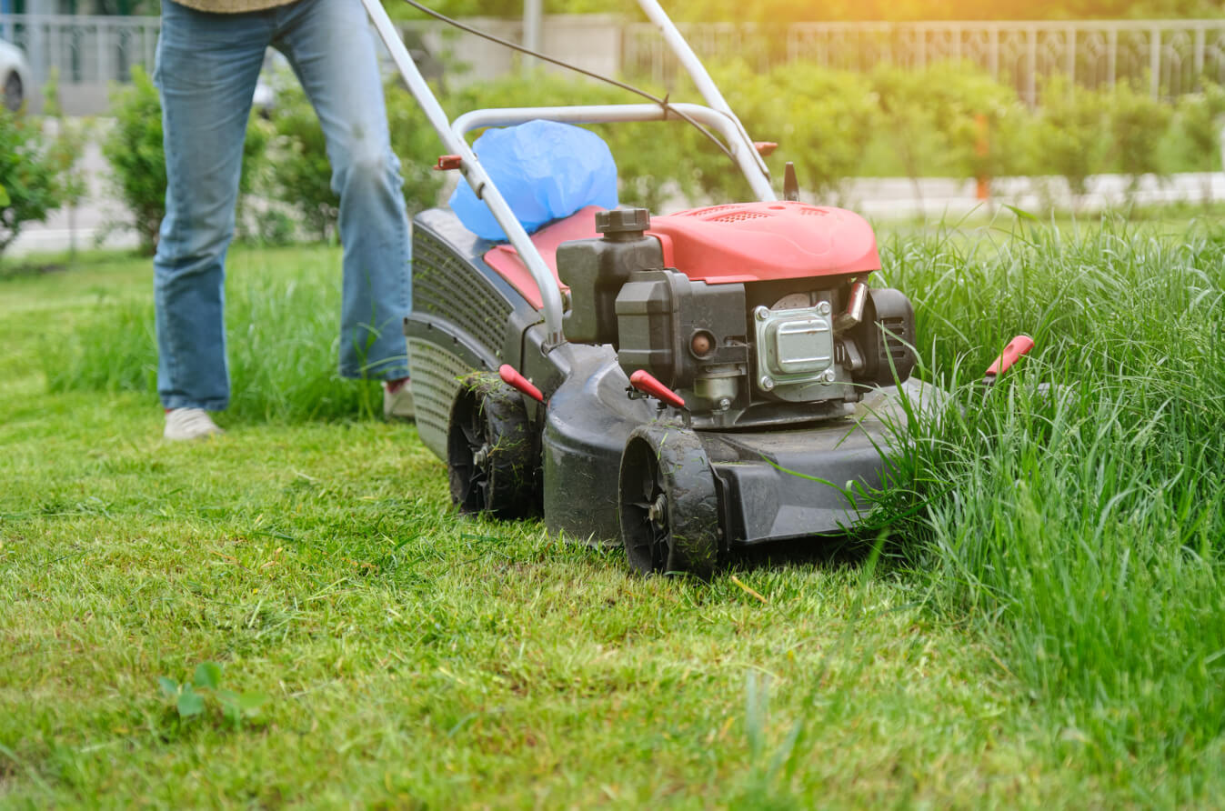 A person using a red and black gas-powered lawn mower to cut overgrown grass, creating a clear contrast between trimmed and untrimmed sections that is an essential chore highlighted in lawn care tips for beginners.