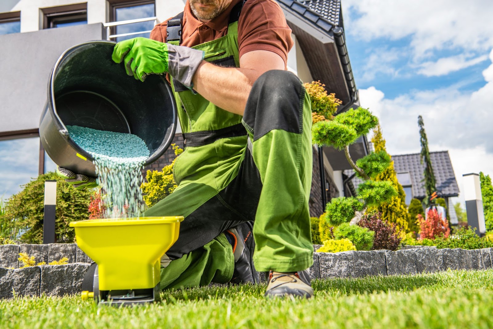 Gardener wearing gloves and green overalls pouring granular fertilizer into a spreader, representing nutrient application as part of essential summer lawn treatment practices.